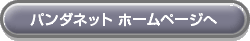 �͌�̃p���_�l�b�g �g�n�l�d