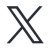 公式X