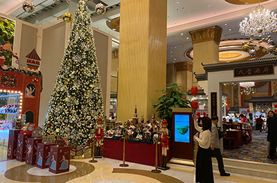 図6：ホテルのロビーで巨大なクリスマスツリーを撮影する藤沢里菜六段。