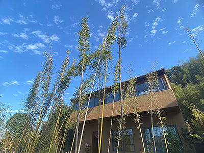 図2：決勝戦の対局室は石巩禅寺内の書院で行われた。